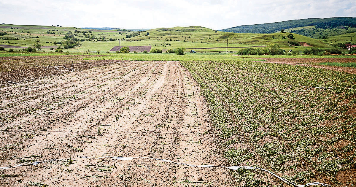 Az élelmiszer-termelés jövője a tét